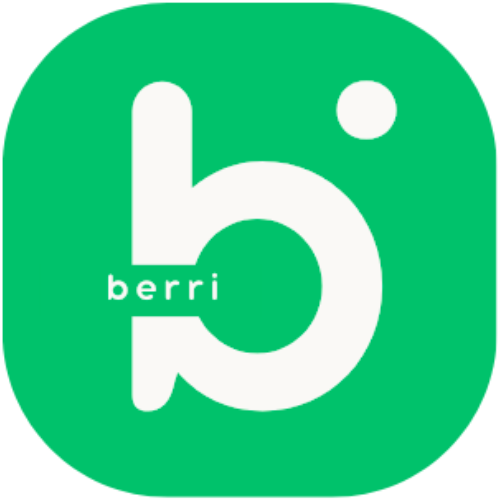 BigBerri Logo